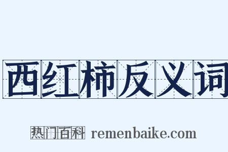 西红柿反义词是什么意思的图片